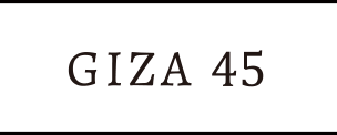 GIZA45